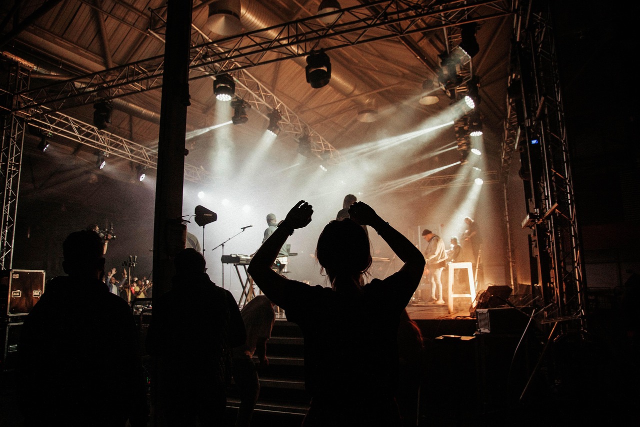 Concert, festival, crowd — I Obtained A Pet For Xmas - Now What?