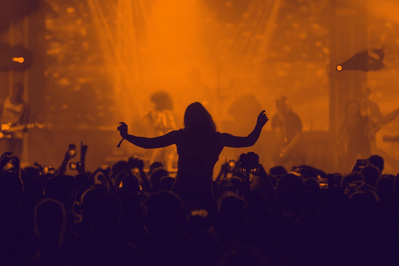Concert, crowd, silhouette — Importance Of Participating At Eat-And-Run Verification Site
