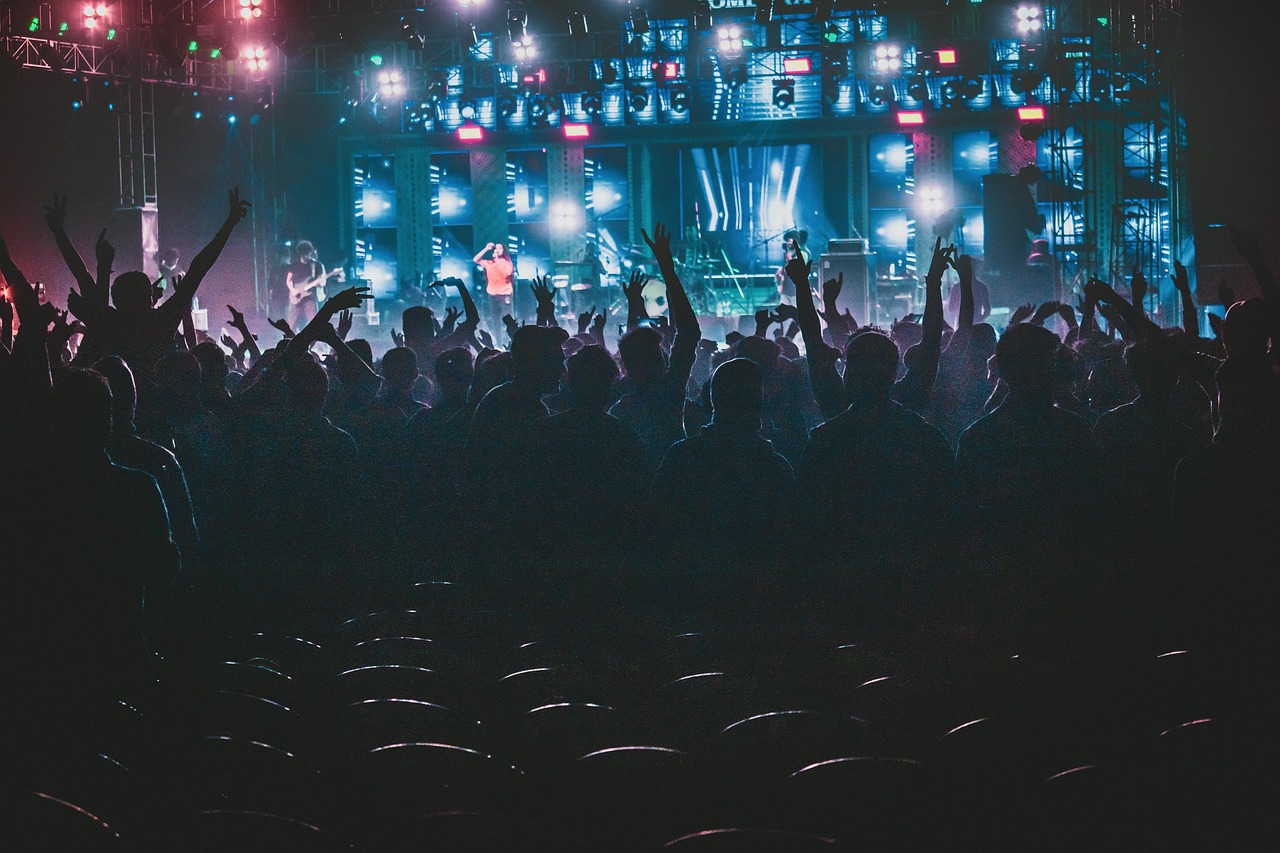 Concert, performance, music — Making Earnings On the net With Sports activities Betting