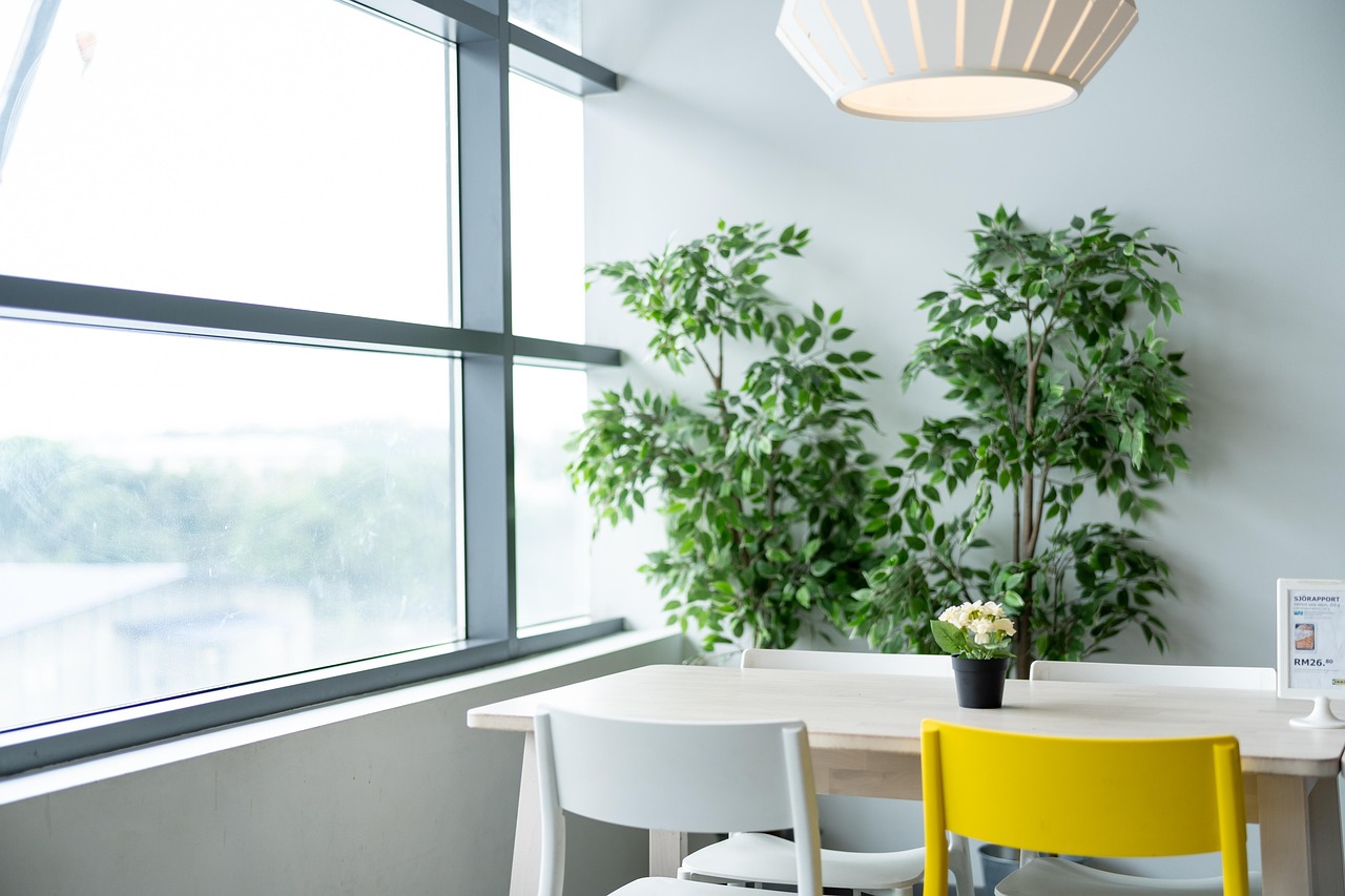 Ikea, table, dining — Tips To Find The Best R6 Betting Sites